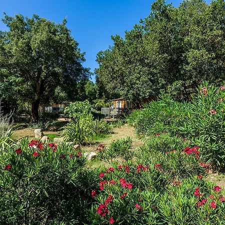 Prázdninový areál Campo Di Mare 3*